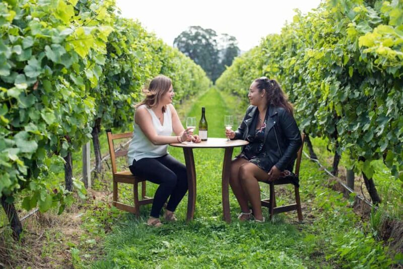 Marlborough Half Day Wine Tour From Picton 1pm - Key Points