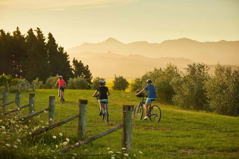 Marlborough: Half Guided and Half Self-Guided Bike Wine Tour - Key Points