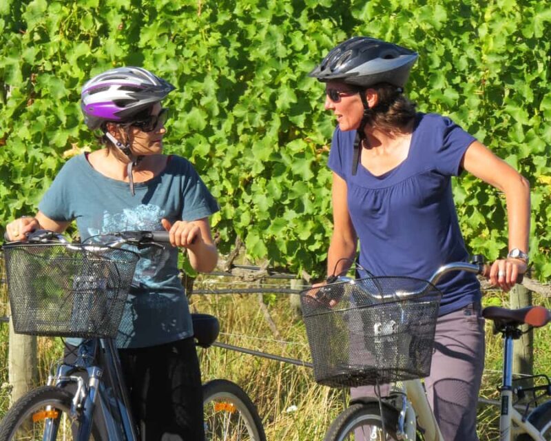 Marlborough: Half Guided and Half Self-Guided Bike Wine Tour - An In-Depth Look at the Marlborough Bike Wine Tour