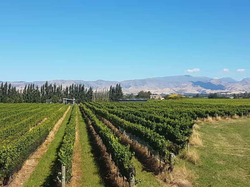 Marlborough: Half Guided and Half Self-Guided Bike Wine Tour - Final Thoughts: Who Will Love This Tour?