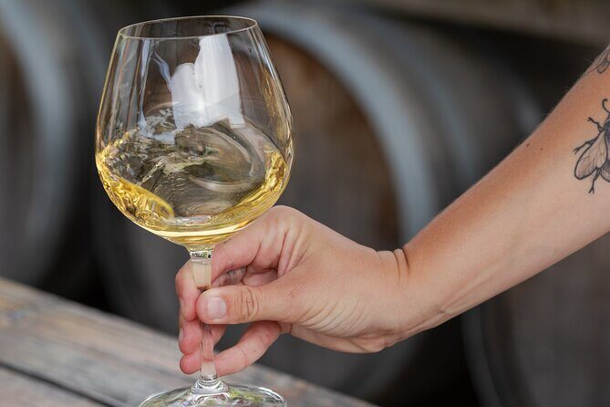 Marlborough Sheep Station Tour with Wine Tasting and Lunch - Who Is This Tour Best For?