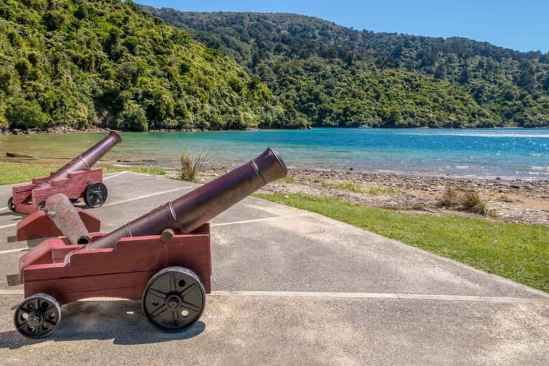 Marlborough Sounds and Ship Cove Cruise from Picton - Key Points