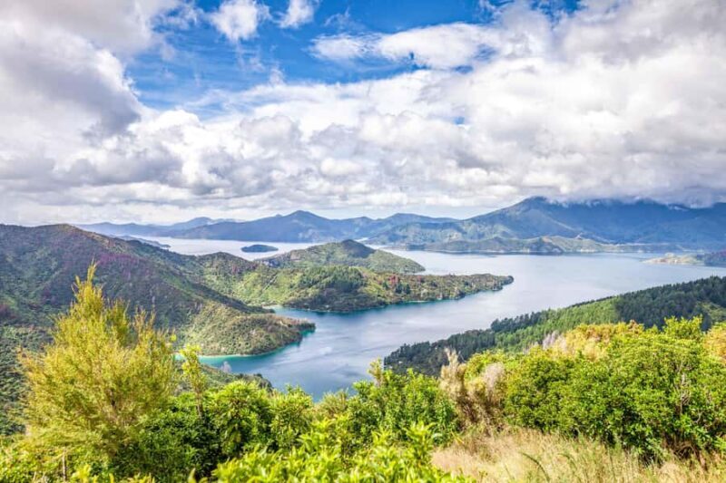 Marlborough Sounds and Ship Cove Cruise from Picton - Exploring the Marlborough Sounds: A Picture-Perfect Waterway