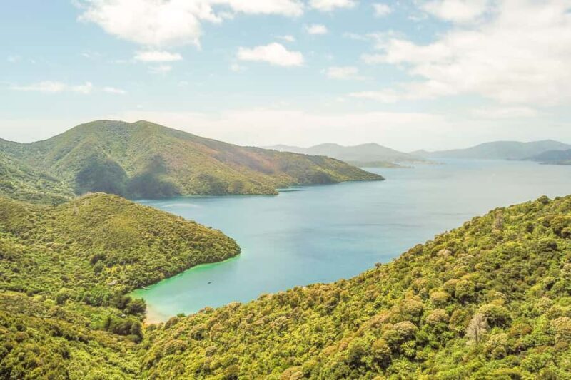 Marlborough Sounds and Ship Cove Cruise from Picton - Wildlife and Scenic Encounters
