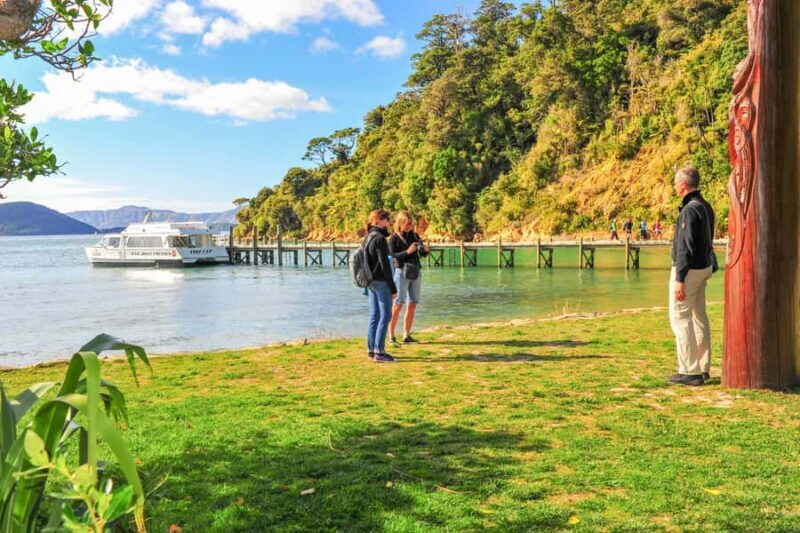 Marlborough Sounds and Ship Cove Cruise from Picton - Practical Tips for Travelers