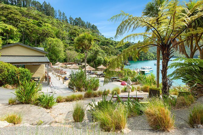 Marlborough Sounds Day Visit to Lochmara - Exploring the Marlborough Sounds: A Review of the Lochmara Day Visit