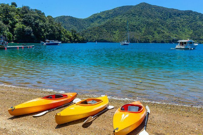 Marlborough Sounds Day Visit to Lochmara - The Sum Up
