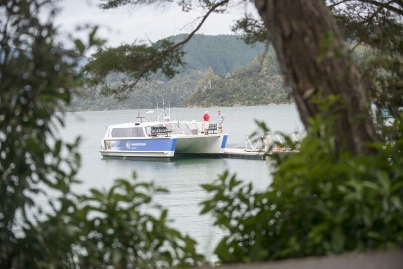 Marlborough Sounds: Greenshell Mussel Cruise - Who Will Love This Tour?