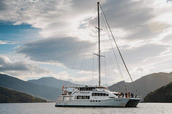 Marlborough Sounds Greenshell Mussel Tasting Cruise - FAQ