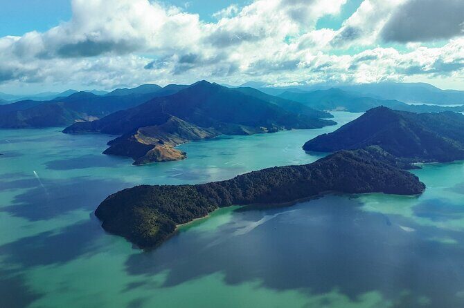 Marlborough Sounds Scenic - What You’ll Love About This Tour