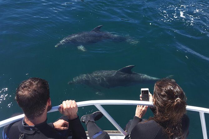 Marlborough Sounds Ultimate Cruise - Key Points