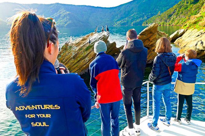 Marlborough Sounds Ultimate Cruise - An Overview of the Experience