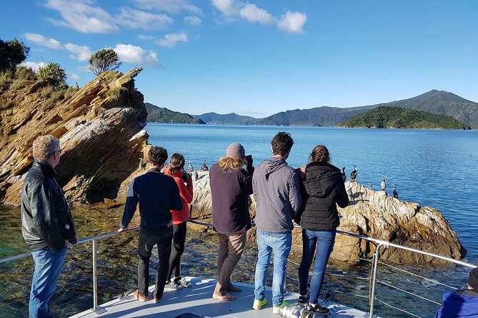 Marlborough Sounds Ultimate Cruise - Practical Tips for Travelers