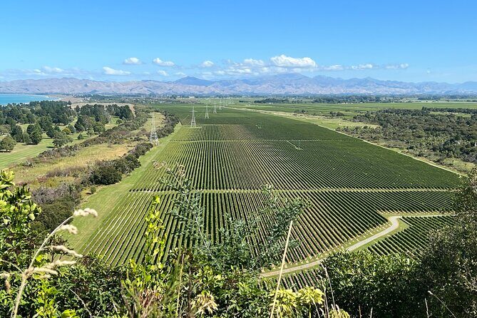 Marlborough Wine Region Tour from the Port of Picton - Price and Overall Value