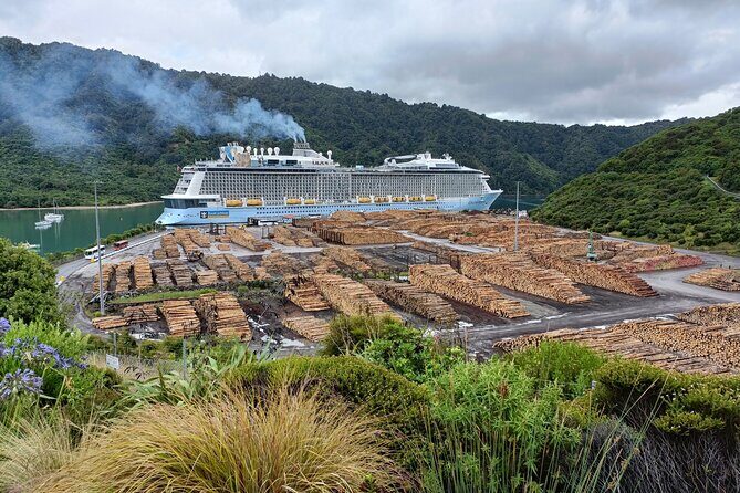 Marlborough Wine Tour - Picton Cruise Ship Shore Excursion Tour - Authentic Experiences: What Travelers Say