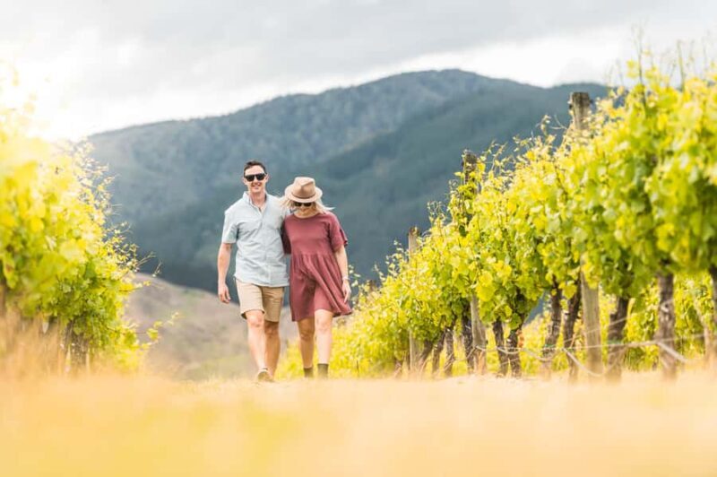 Marlborough: Wineries Visit and Tasting Session - Key Points