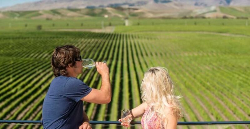 Marlborough: Wineries Visit with Tastings and 2-Course Lunch - Key Points