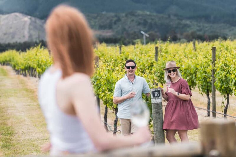 Marlborough: Wineries Visit with Tastings and 2-Course Lunch - What We Loved About the Experience