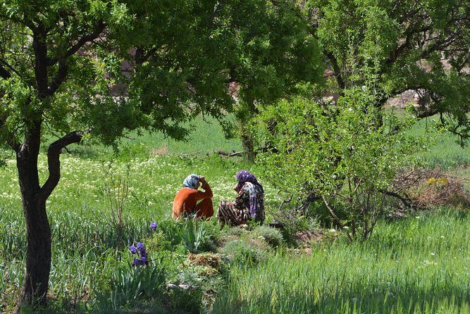 Marrakech : 1-Day Trip to the Ourika Valley - An In-Depth Look at the Ourika Valley Tour