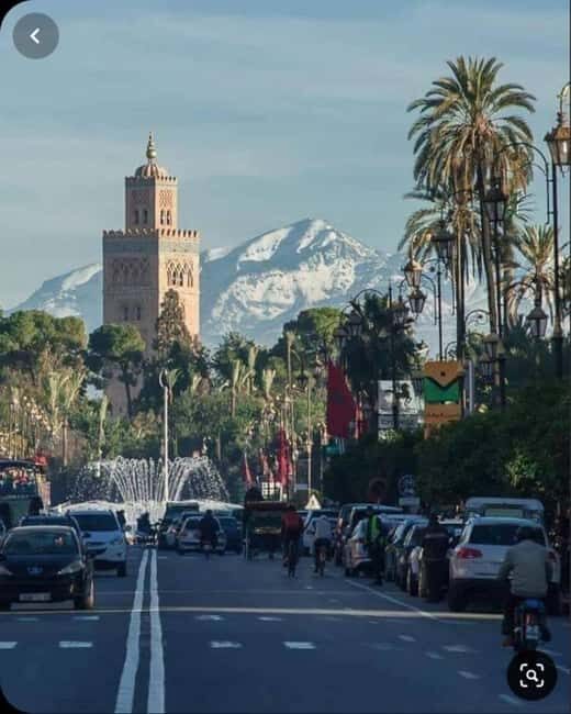 Marrakech: 1-Hour Traditional Horse-Drawn Carriage Tour - A Deep Dive into the Experience