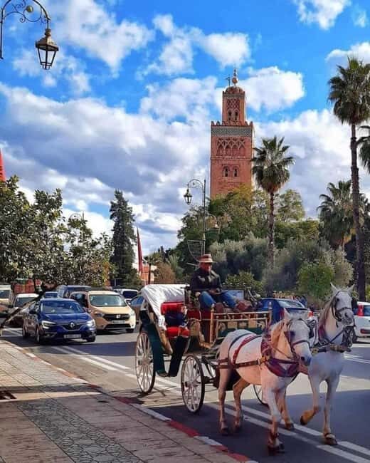 Marrakech: 1-Hour Traditional Horse-Drawn Carriage Tour - The Sum Up