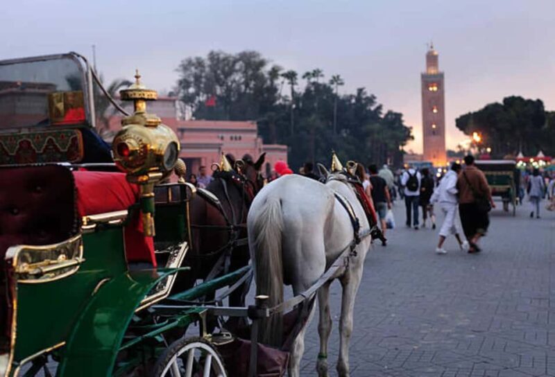 Marrakech: 1-Hour Traditional Horse-Drawn Carriage Tour - Key Points