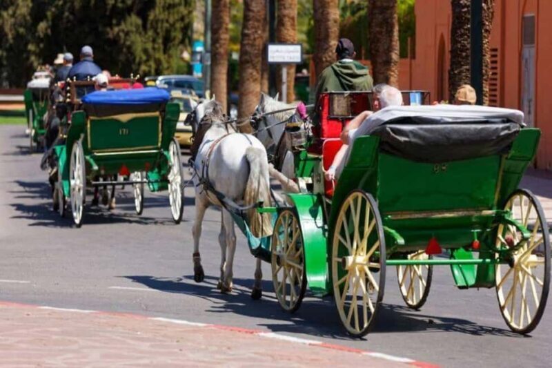 Marrakech: 1-Hour Traditional Horse-Drawn Carriage Tour - Exploring Marrakech in a Traditional Horse-Drawn Carriage