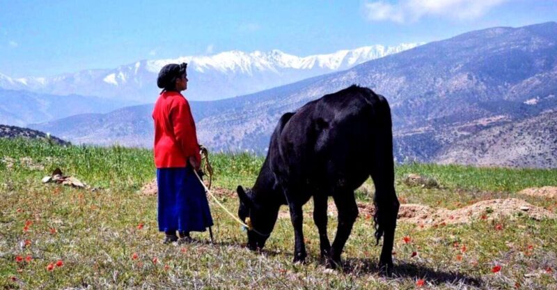 Marrakech: 2-Day Atlas Villages Trekking Tour - Marrakech: 2-Day Atlas Villages Trekking Tour — An Authentic Moroccan Adventure