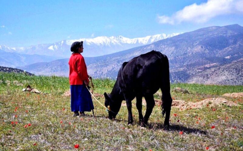 Marrakech: 2-Day Atlas Villages Trekking Tour - What’s in the Price?