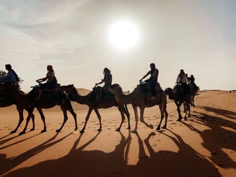Marrakech 2 days 1 night to zagora desert with camel ride - The Itinerary Breakdown