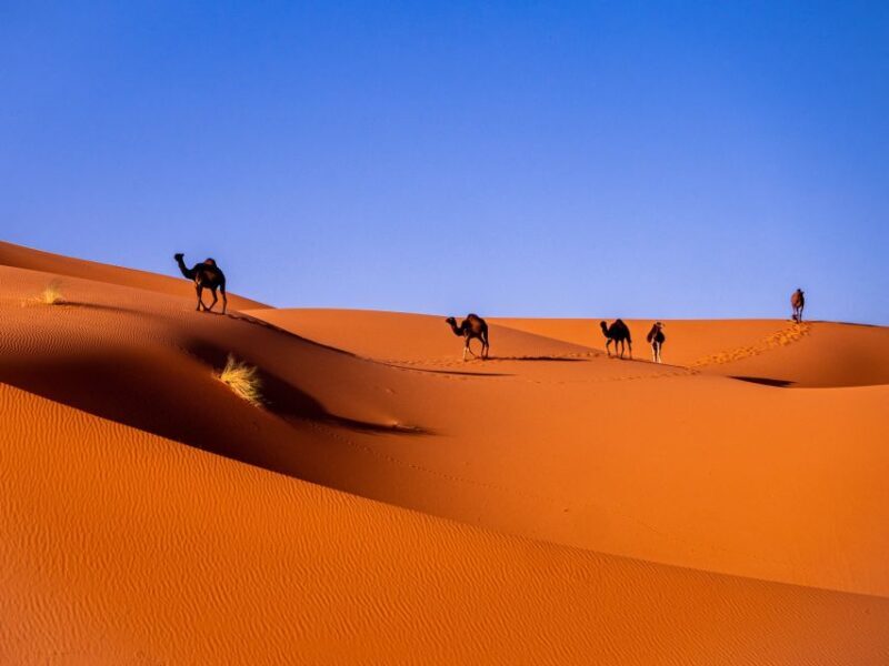 Marrakech: 3-Day Desert Tour to Merzouga Dunes & Camel Trek - Transportation and Comfort