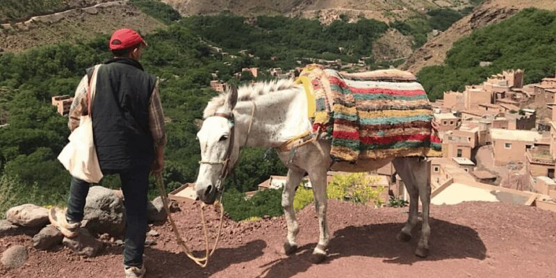 Marrakech: 3-Day High Atlas Mountains Hiking Tour - Practical Considerations