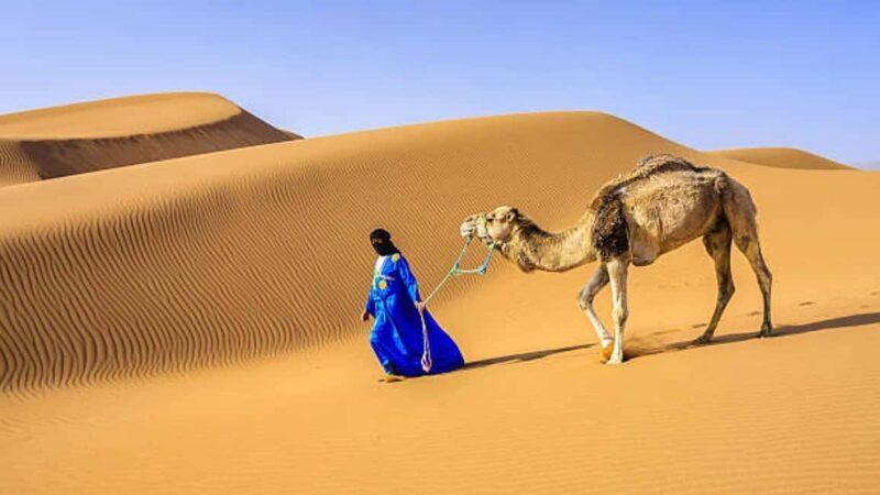 Marrakech: 3-Day Luxurious Desert Tour to Fes via Merzouga. - Day Two: The Sahara Beckons