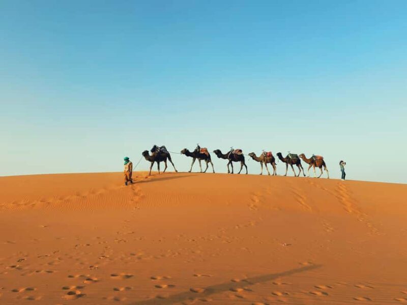 Marrakech: 3-day Merzouga Desert, Camel, Quad & Privat Tent - The Practical Details and Value