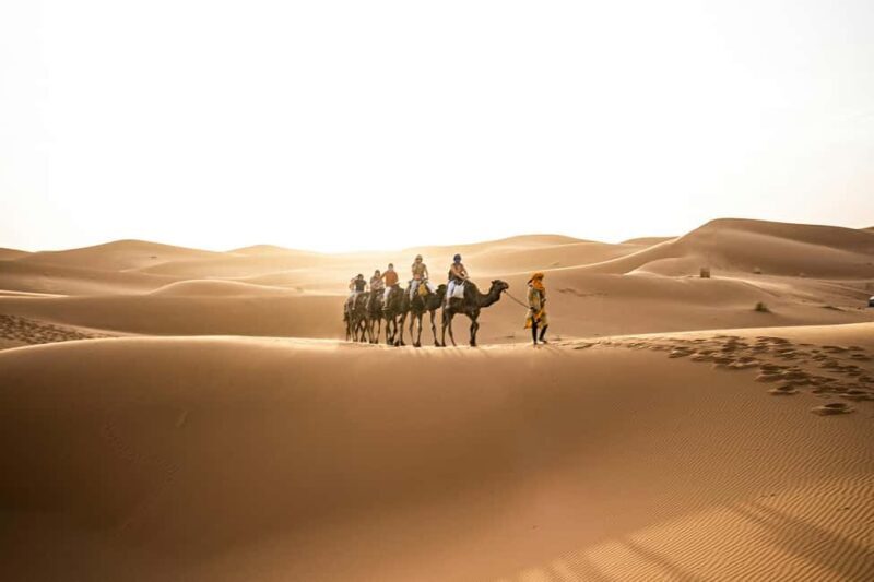 Marrakech: 3-Day Private Sahara Tour to Fez via Merzouga - Final Thoughts