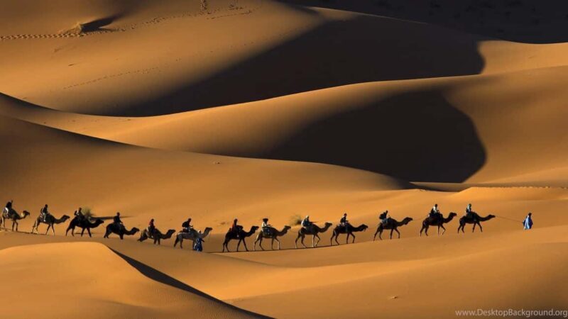 Marrakech: 3-Day Private Tour Lux Camp Quad, Camel & Sand - Key Points