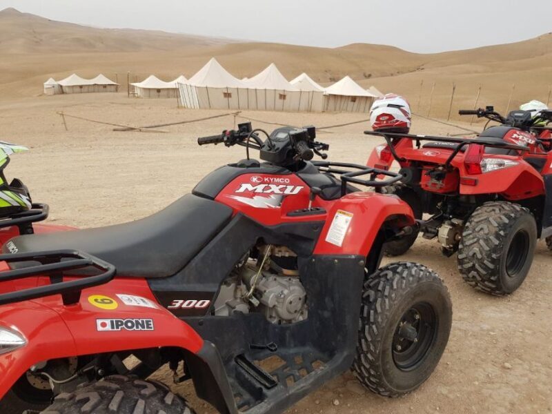 Marrakech: 3-Hour Quad Bike Adventure - Key Points