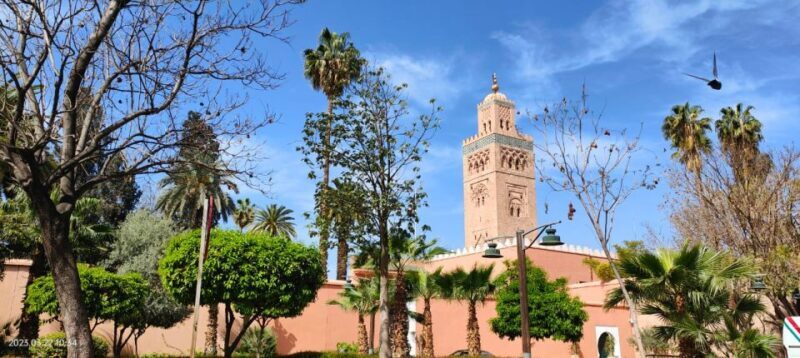 Marrakech 3-Hour Walking Tour - The Price and Value