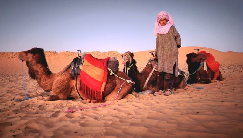 Marrakech: 3Day Luxurious Merzouga Tour w/ Camel&Quad Option - The Experience of the Stops