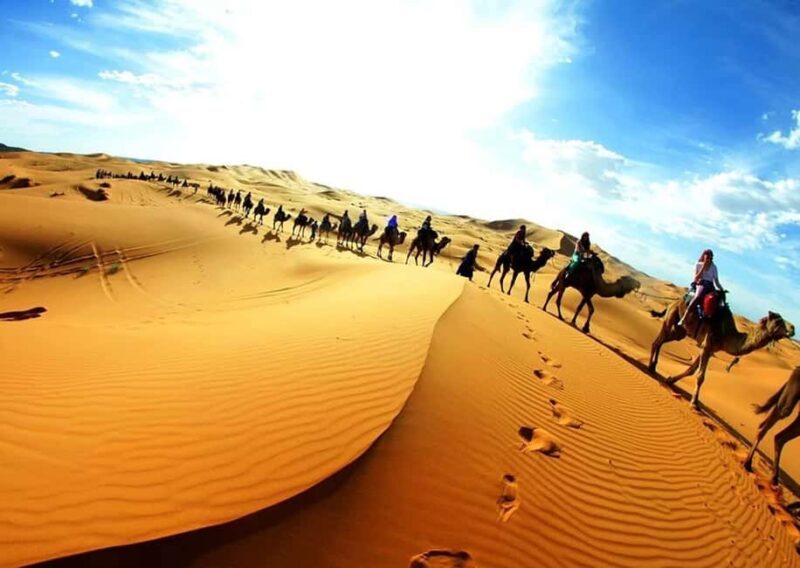 Marrakech: 4-Days Luxury Desert Tour to Fes via Merzouga - Who Will Enjoy This Tour?