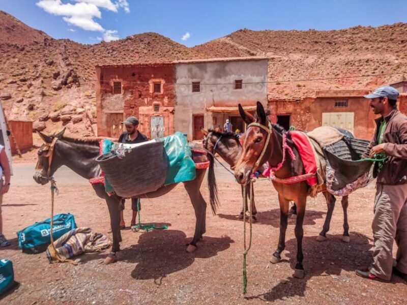 Marrakech: 5 Day Trek Atlas Mountains and Berber Village - An In-Depth Look at the 5-Day Trek Experience