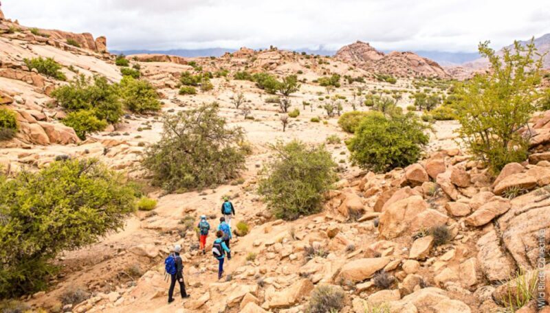 Marrakech: 5 Day Trek Atlas Mountains and Berber Village - What’s Included and What’s Not