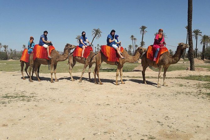 Marrakech Activities: Camel Ride Tour - Key Points