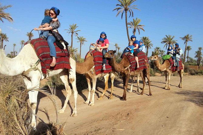 Marrakech Activities: Camel Ride Tour - A Scenic Ride through Marrakech’s Palmeraie