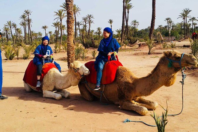 Marrakech Activities: Camel Ride Tour - Practical Details and Logistics