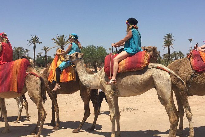 Marrakech Activities: Camel Ride Tour - Who Should Consider This Tour?