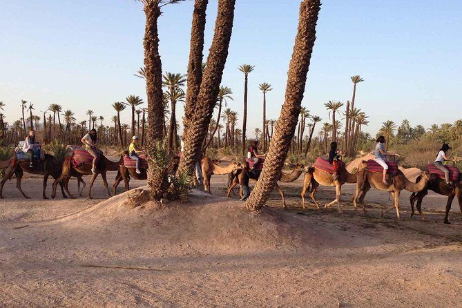 Marrakech Activities: Camel Ride Tour - FAQ