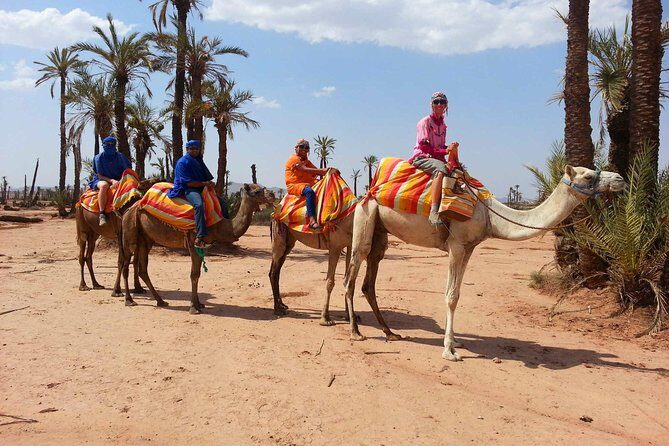 Marrakech activities: Camel ride tour Marrakech - Key Points