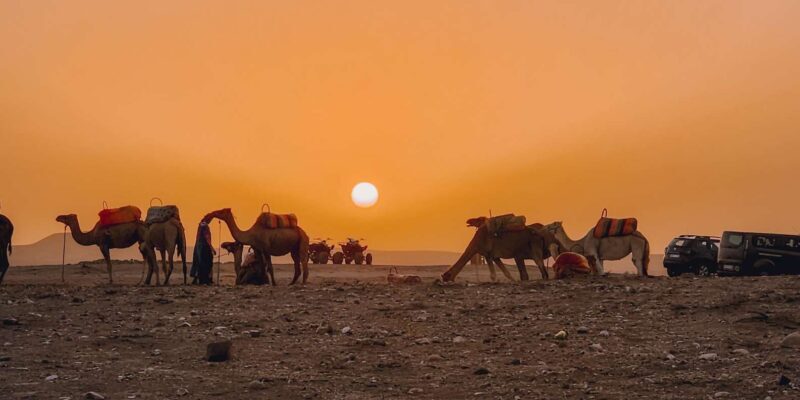 Marrakech: Agafay Camel Ride & Dinner with Fire Show Tour - FAQ
