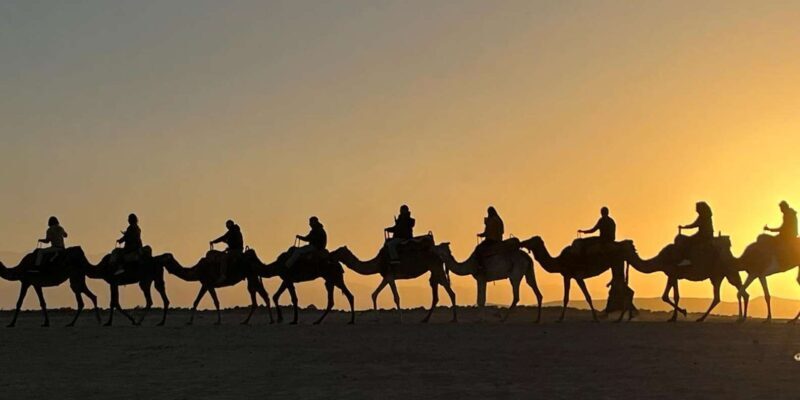 Marrakech: Agafay Camel Ride Sunset and Dinner with Show - A Close Look at the Experience